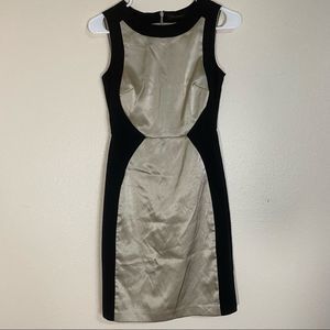 The Limited Gold and Black Dress